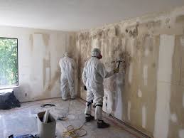 Best Residential Mold Inspection & Testing  in Baden, PA